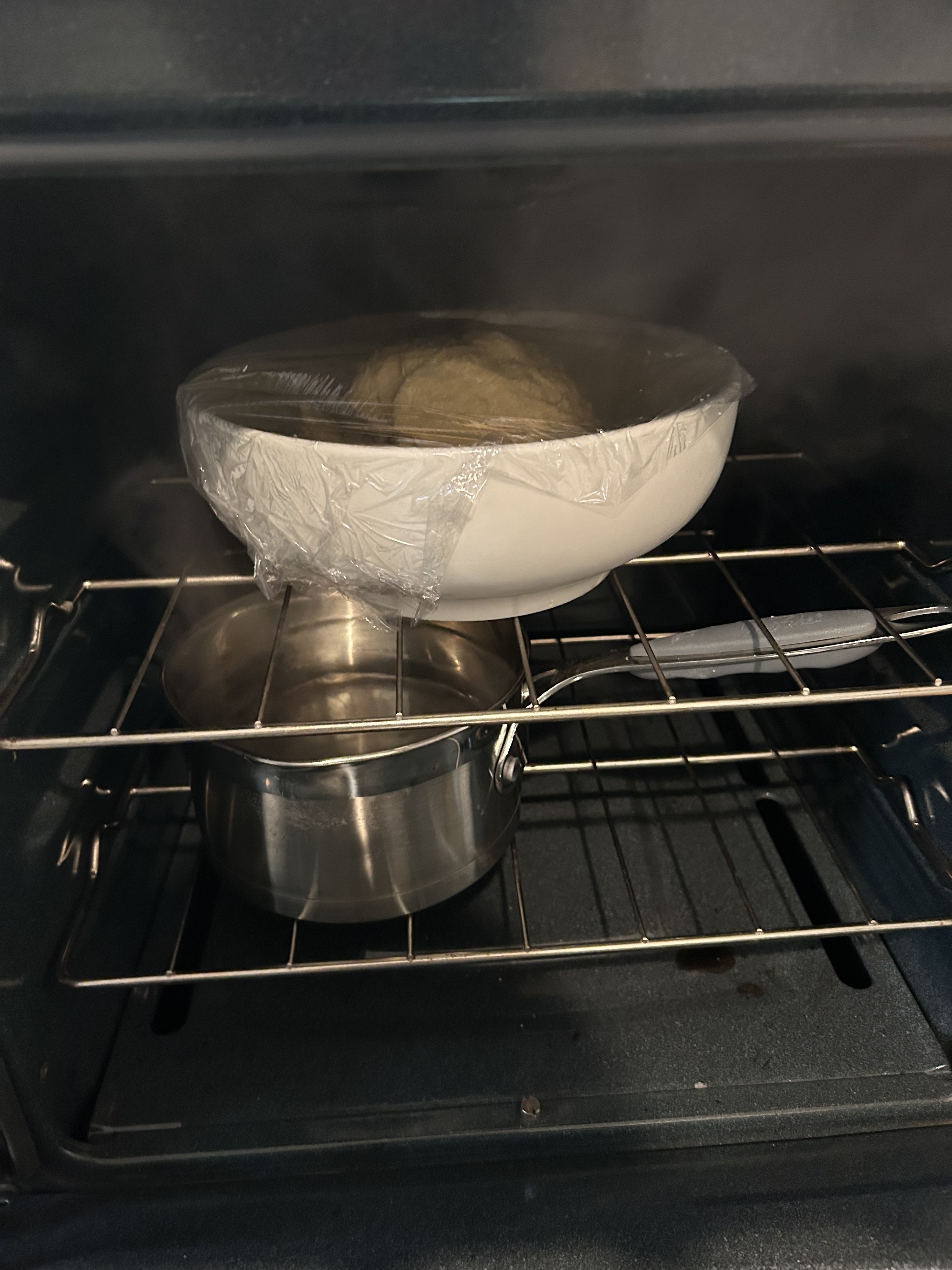bowl of dough in the oven