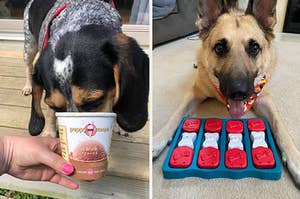 on left: reviewer feeding dog carob flavor doggie ice cream. on right: German Shepherd playing with blue, red, white interactive puzzle with treats inside