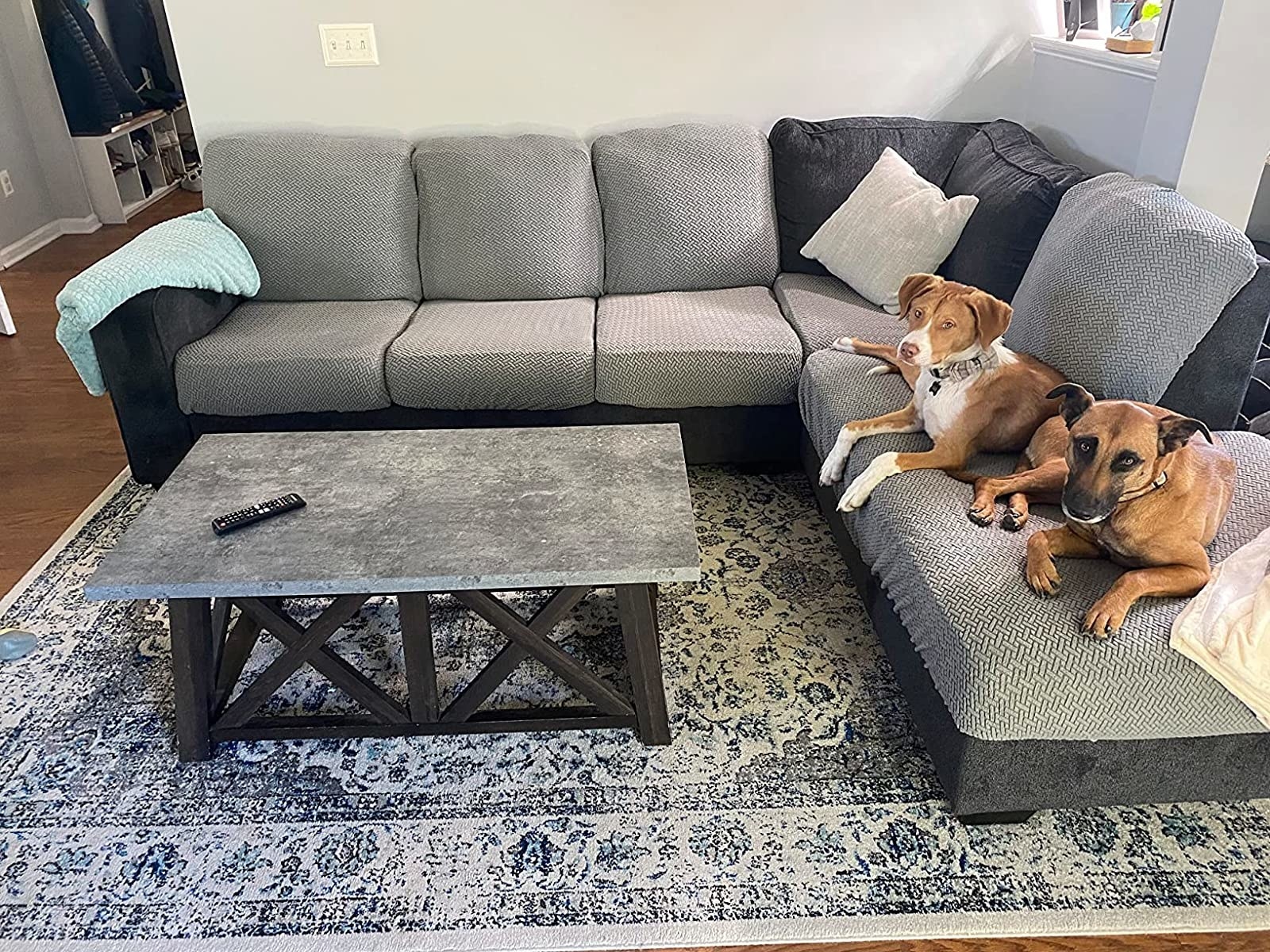 Gray sectional covered in slipcovers with dogs enjoying the sofas