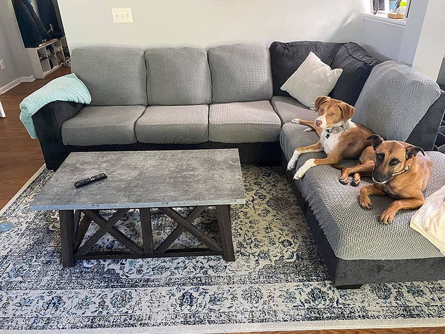 14 Best Pet-Friendly Couches To Buy In 2023, 59% OFF