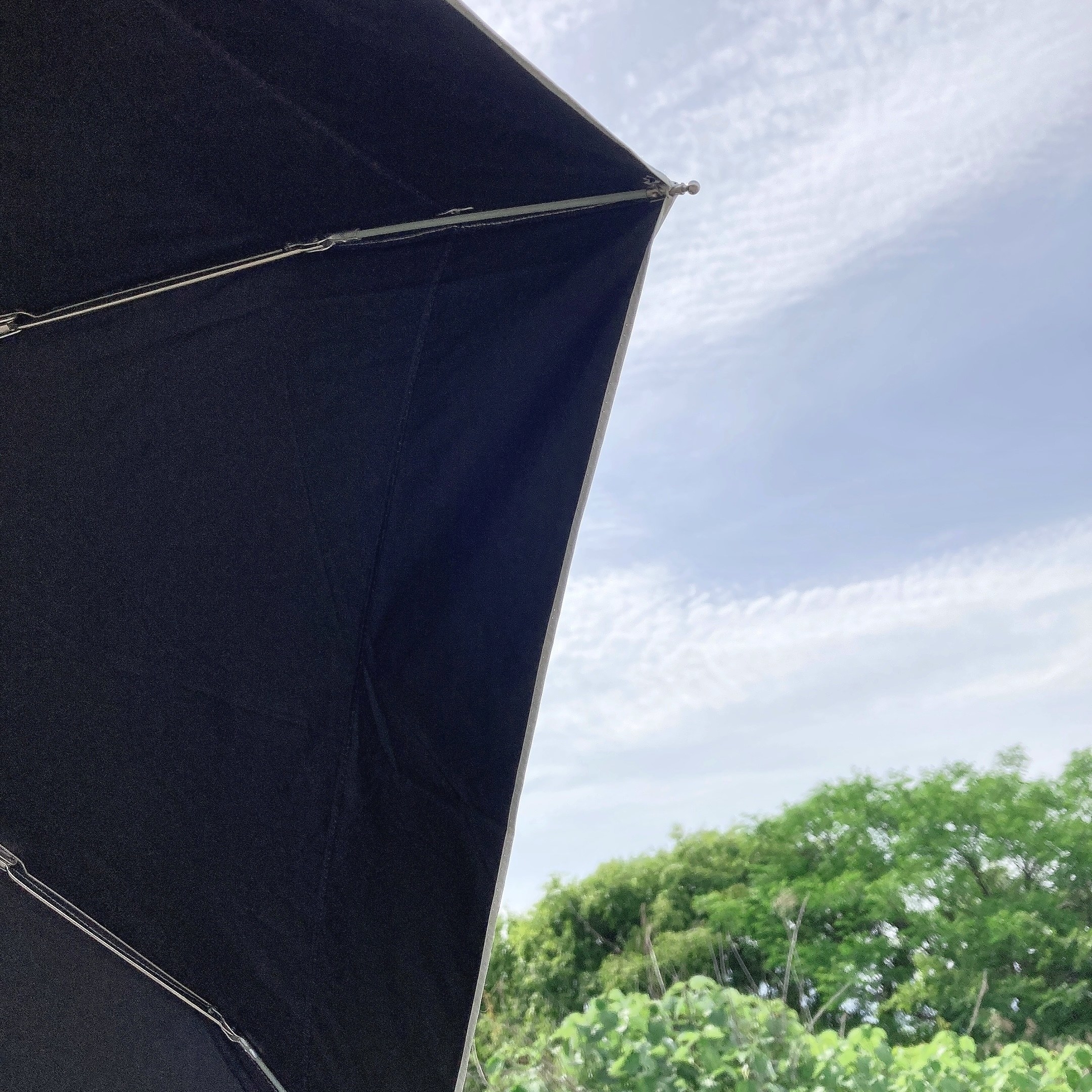 PLAZA（プラザ）で見つけたオススメの折りたたみ傘「Wpc. 日傘 切り継ぎ タイニー」