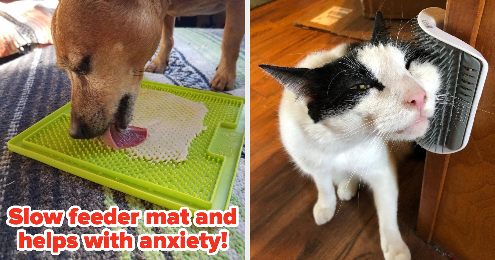 33 Pet-Approved Products That’ll Make Your Life Easier