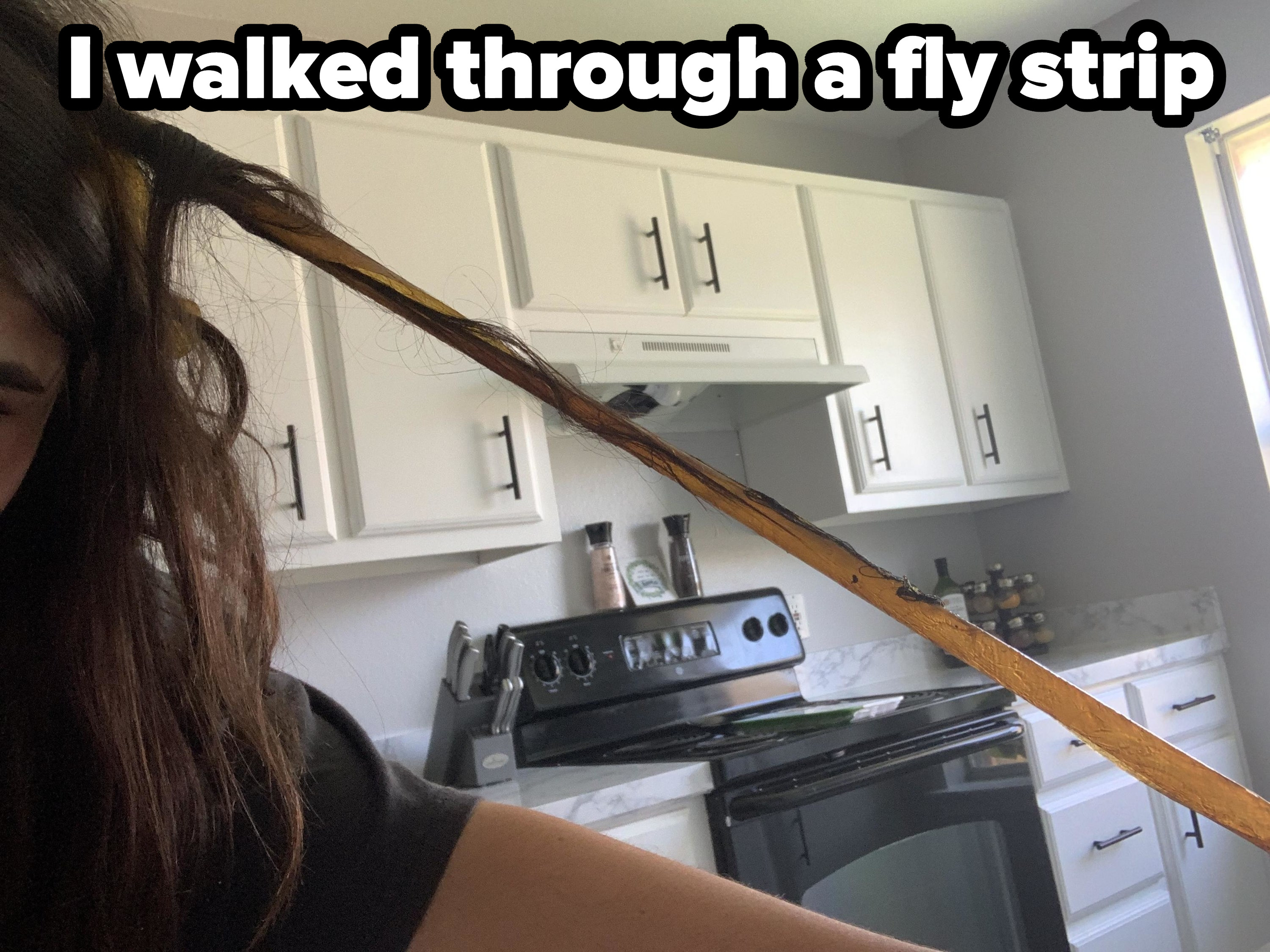 A fly strip stuck in a person&#x27;s hair in a kitchen