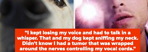 A story from a commenter about how their dog sniffing their neck led them to find out they had a tumor over images of a dog and a doctor
