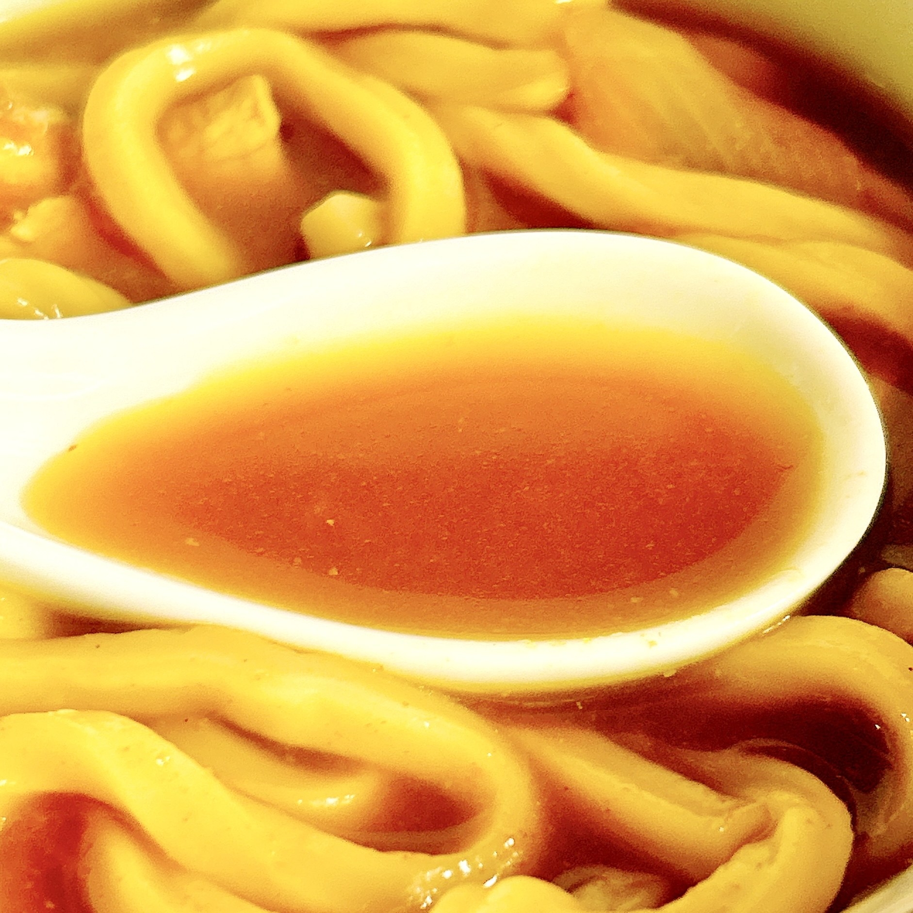 セブン‐イレブンのオススメのの冷凍食品「7プレミアム 豚カレーうどん」