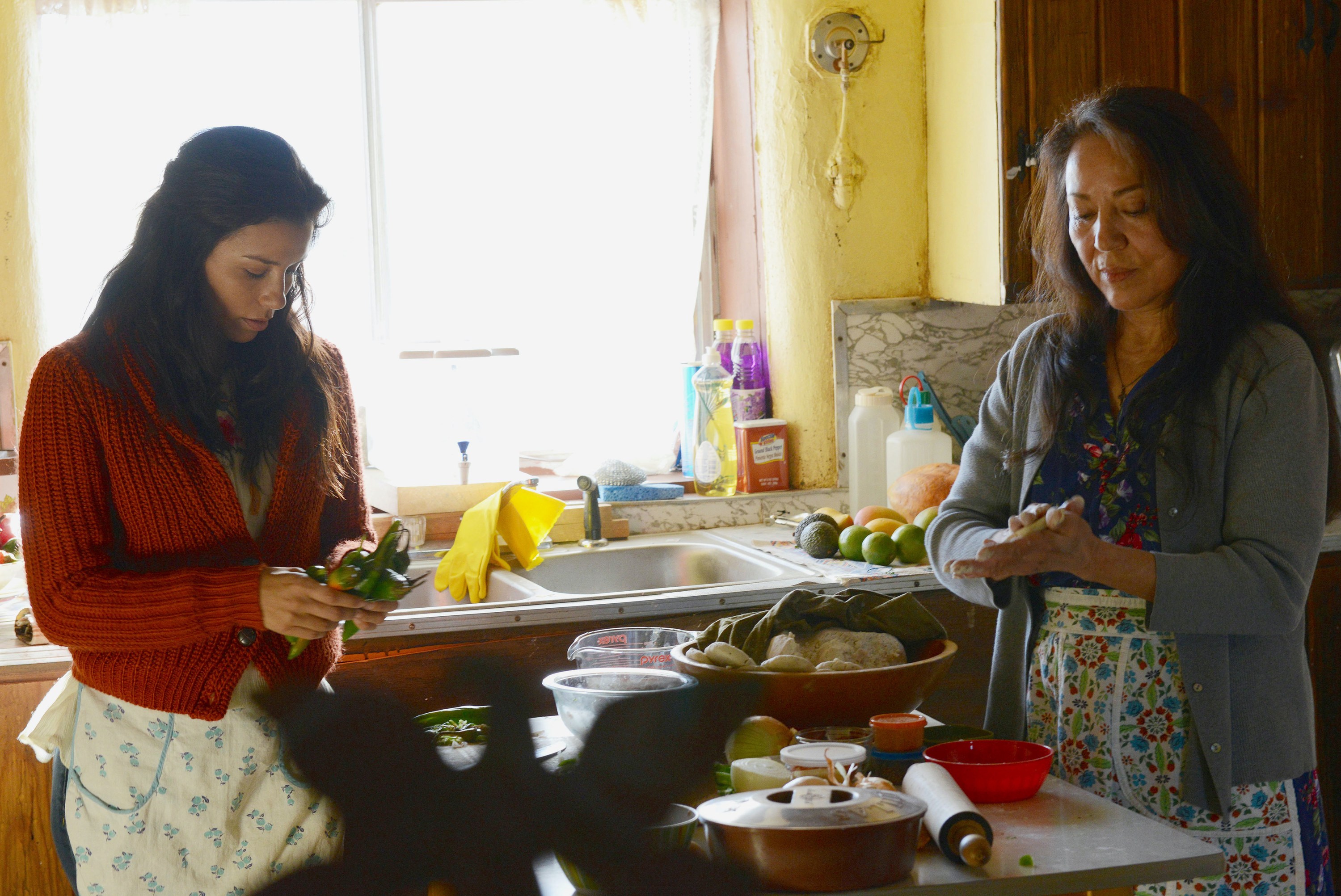 Two women cooking in the kitchen