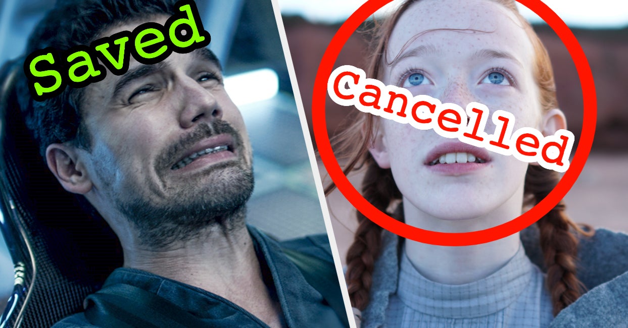 Unbelievable Amy Sheralds Smithsonian Show Cancelled Heres Why - 1rrsegp