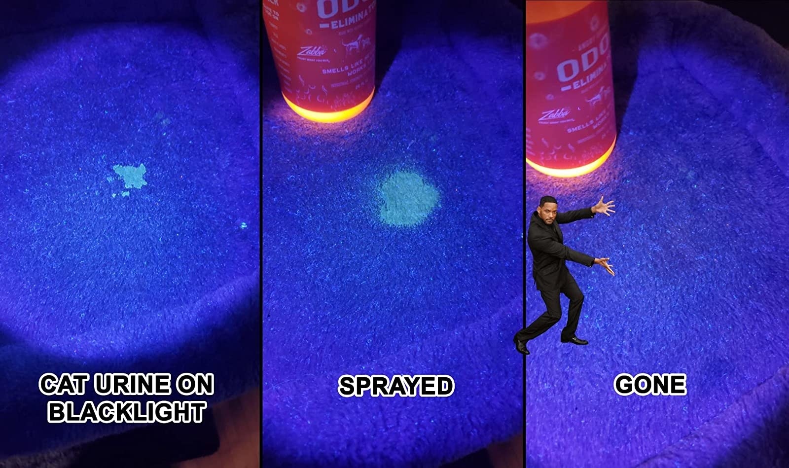 reviewer before and after of cat urine glowing on a carpet under a black light, and then the stain gone under the blacklight after using the cleaner