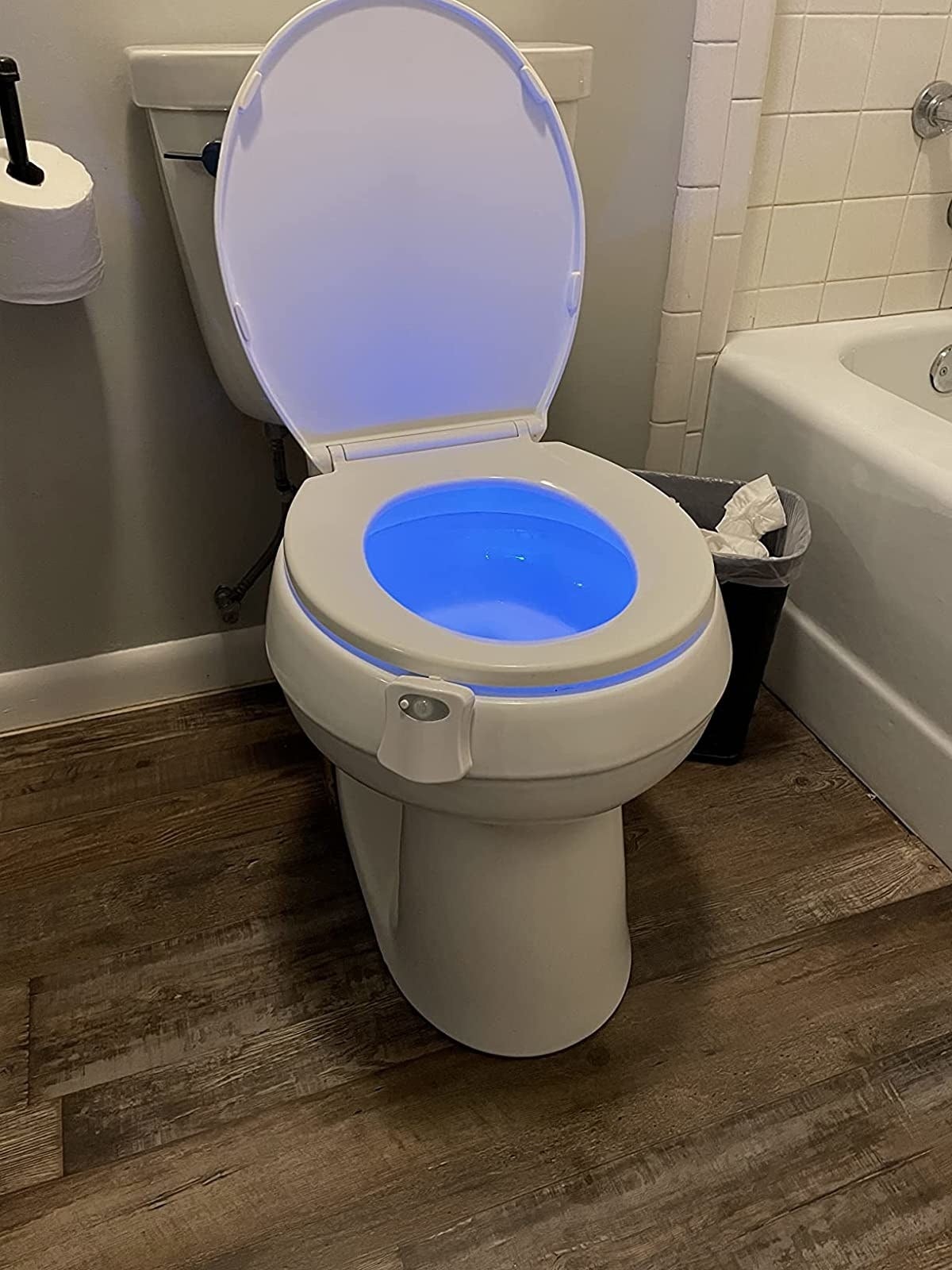 Reviewer's photograph  of toilet airy  with lights on