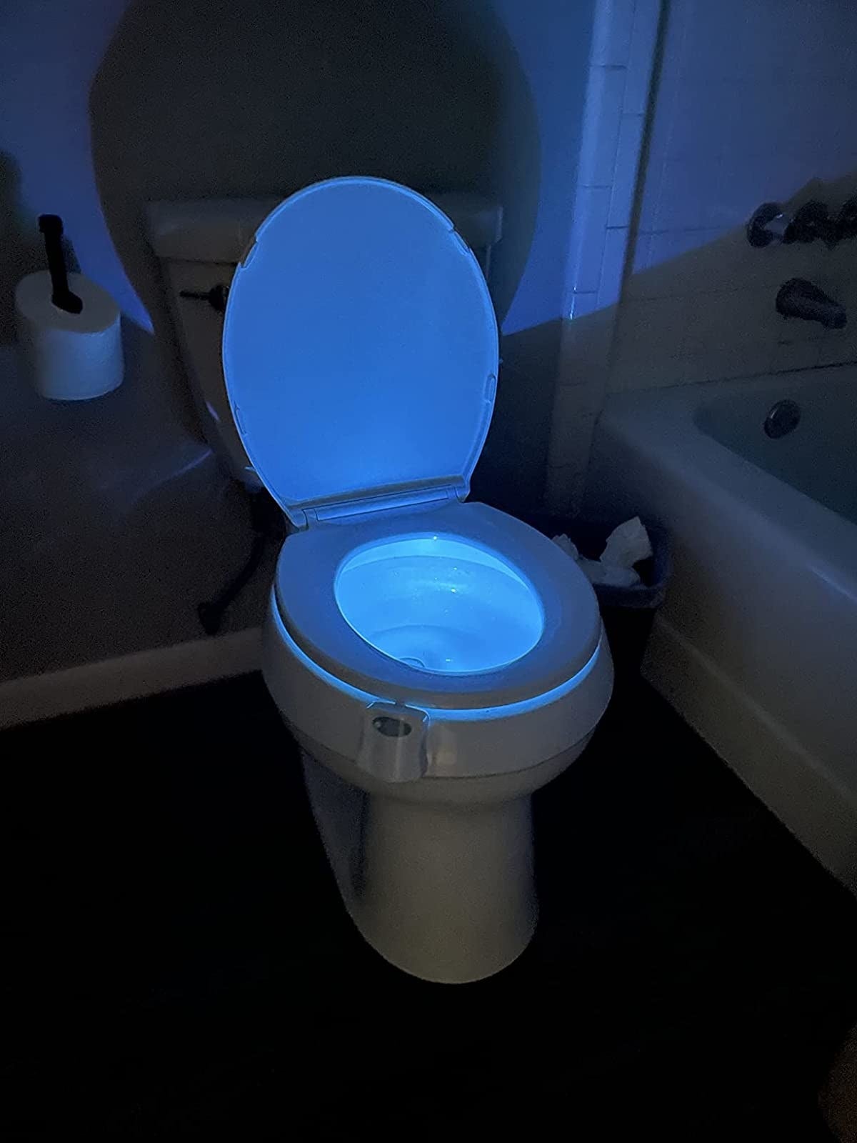 Reviewer's photograph  of toilet airy  with lights off