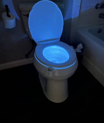 Reviewer's photograph of toilet airy with lights off