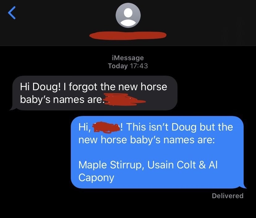 Person asks Doug for the name of the new horse baby, and someone else responds that they aren&#x27;t Doug, but the names are Maple Stirrup, Usain Colt and Al Capony