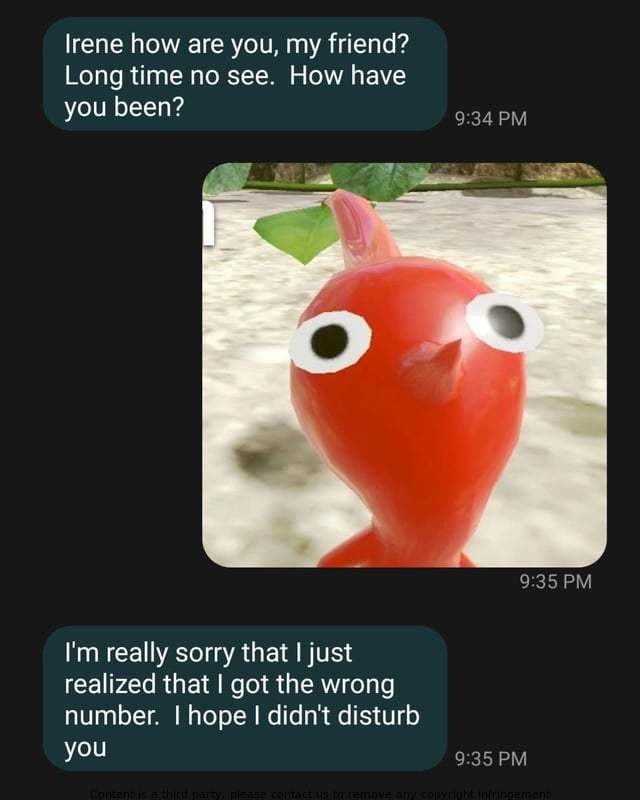 Person sends text saying &quot;long time no see&quot; and gets a blow-up toy in response and says &quot;sorry, hope I didn&#x27;t disturb you&quot;