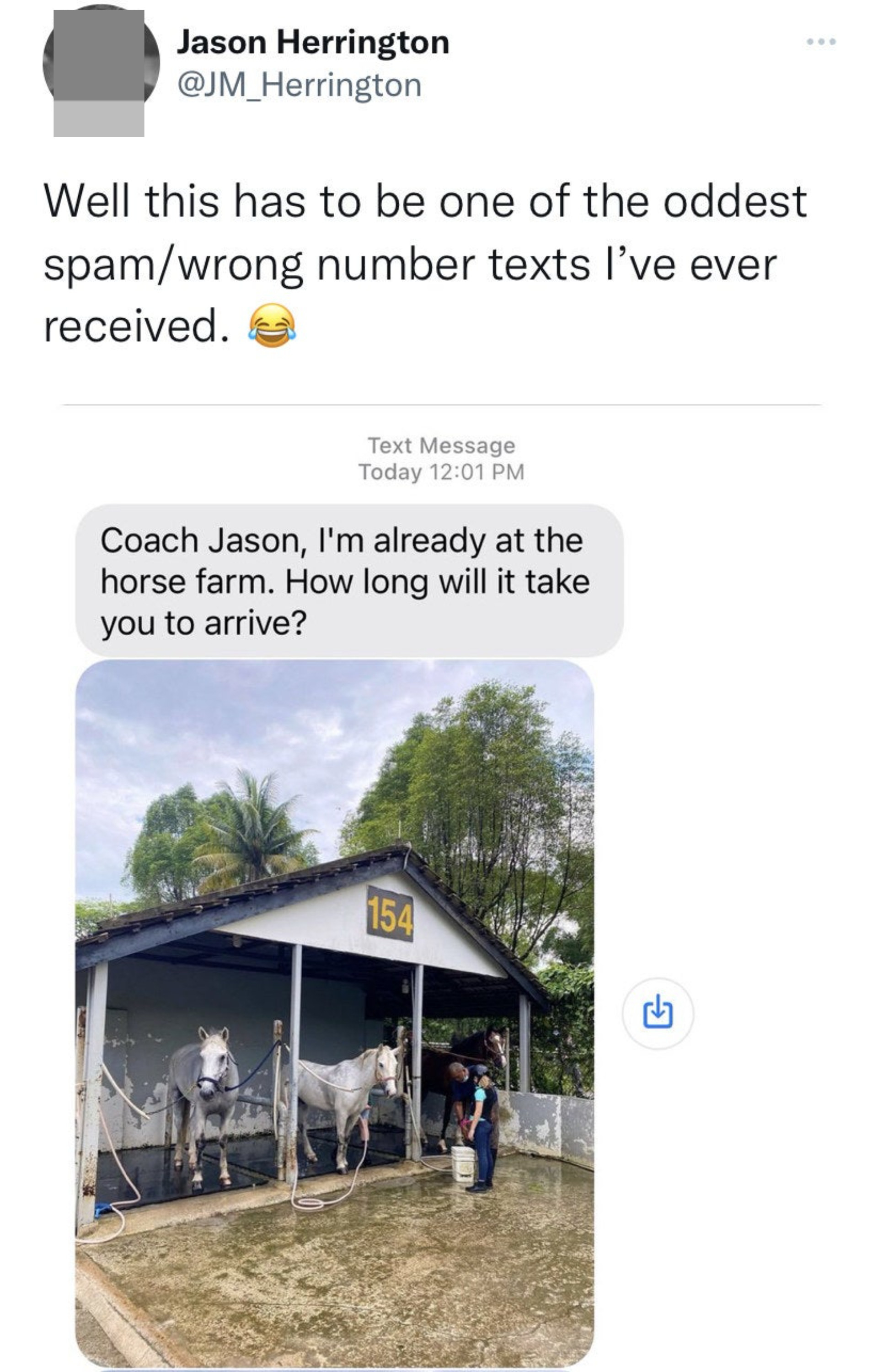 Text with a photo of two horses in a barn asks, &quot;Coach, I&#x27;m already at the horse farm; how long will it take you to arrive?&quot;