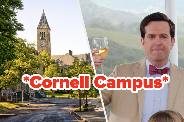 Cornell Campus and Andy from "The Office."
