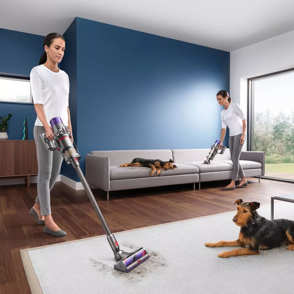 A model using the Dyson vacuum
