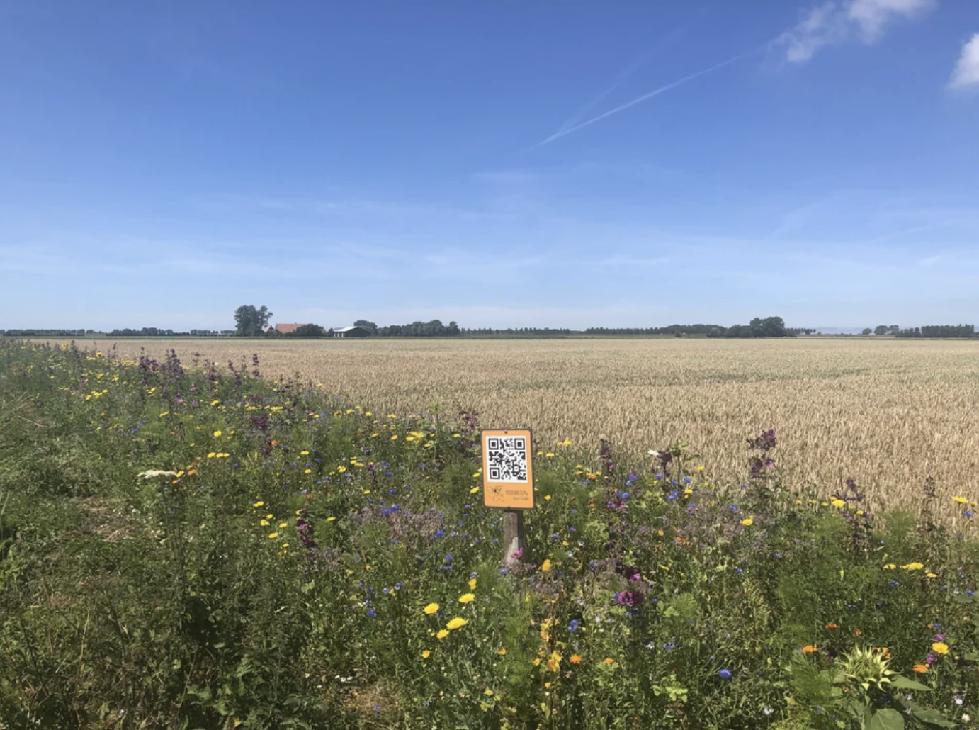 A QR code to pay for flowers you pick