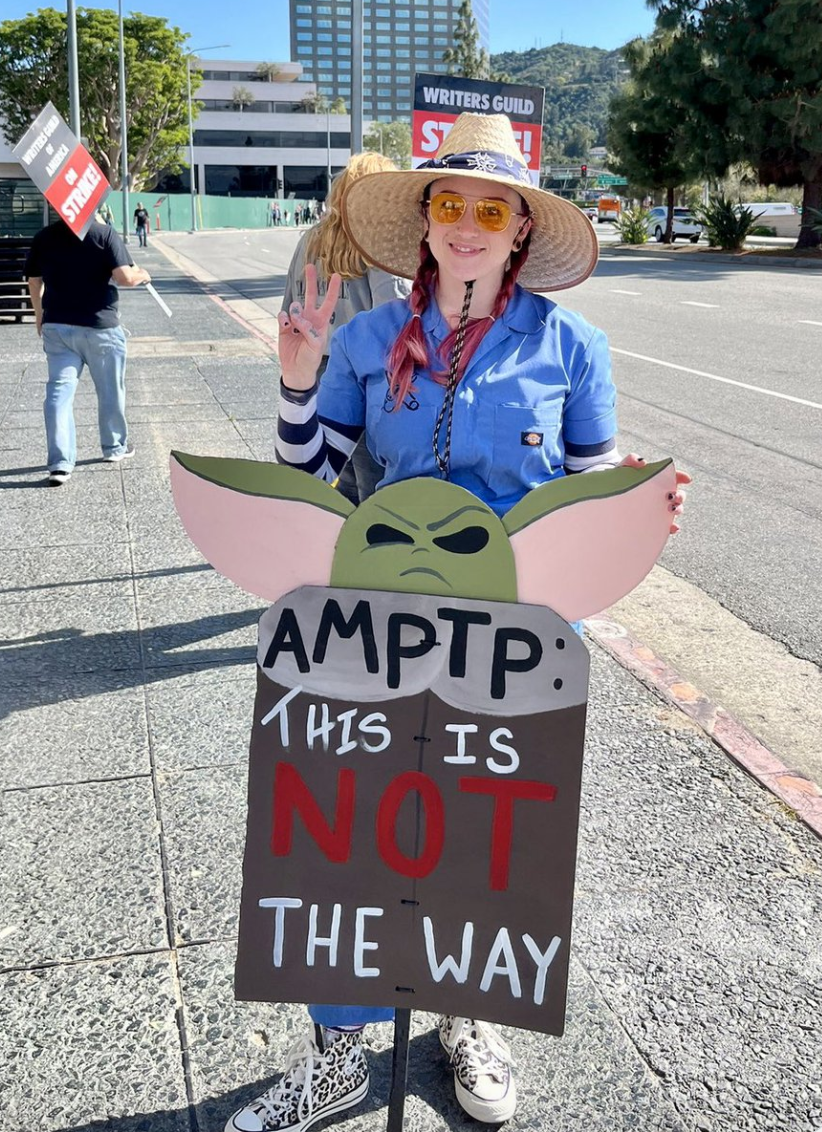 A person holds a sign that says &quot;This is NOT the way&quot; with Grogu frowning hard