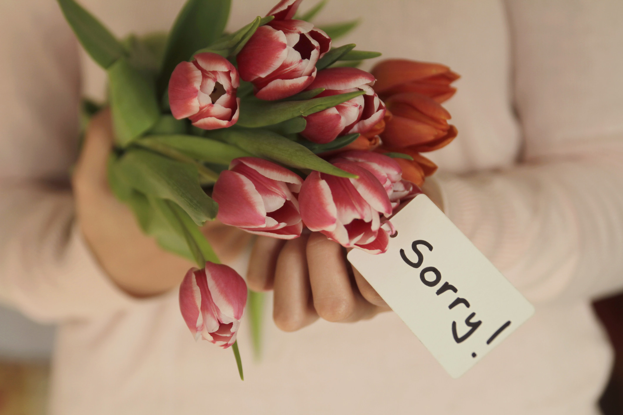 Flowers with a card saying, &quot;Sorry!&quot;
