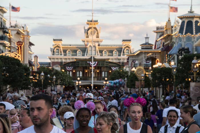 A crowd of people at a Disney park