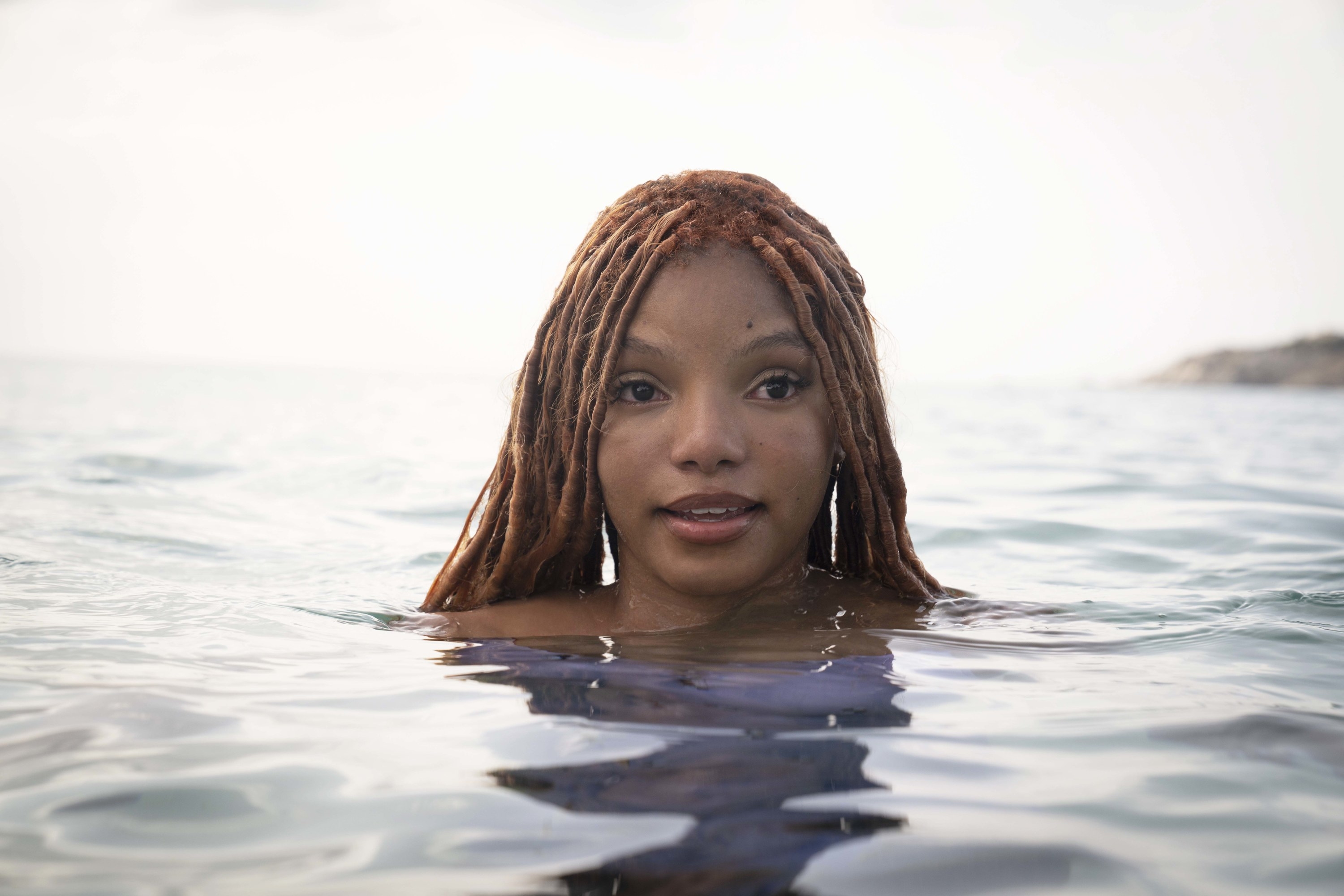 closeup of halle in the water