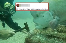 This fish doesn't even know she's famous.