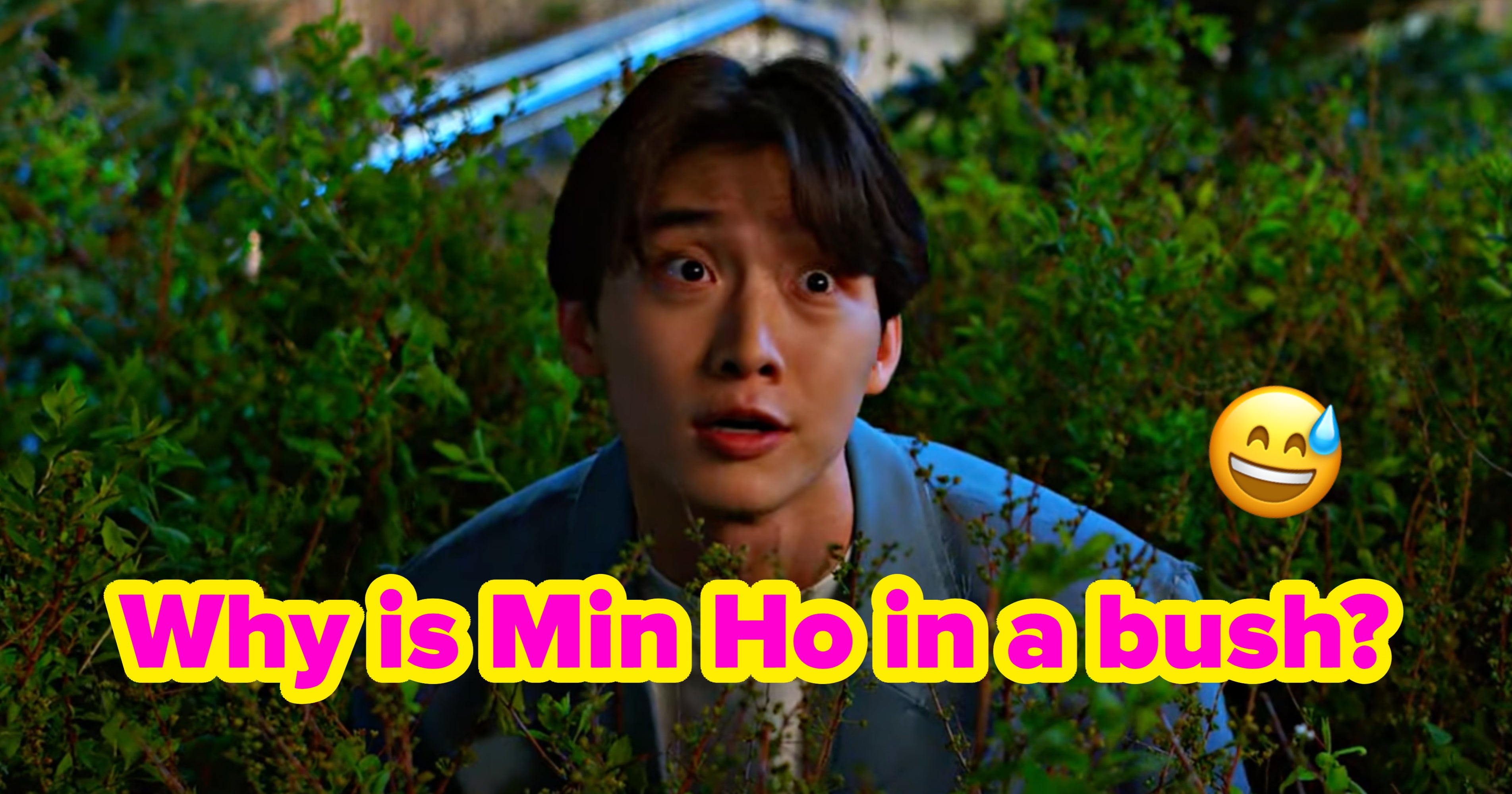 “XO, Kitty” Trivia Quiz