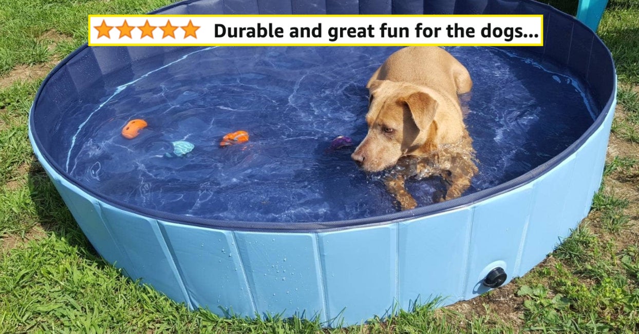 39 Practical Things For Pets That You'll Probably Get A Ton Of Use Out Of