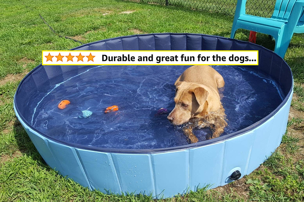 reviewer photo of a dog in a pop-up pool with text on image "durable and great fun for the dogs"
