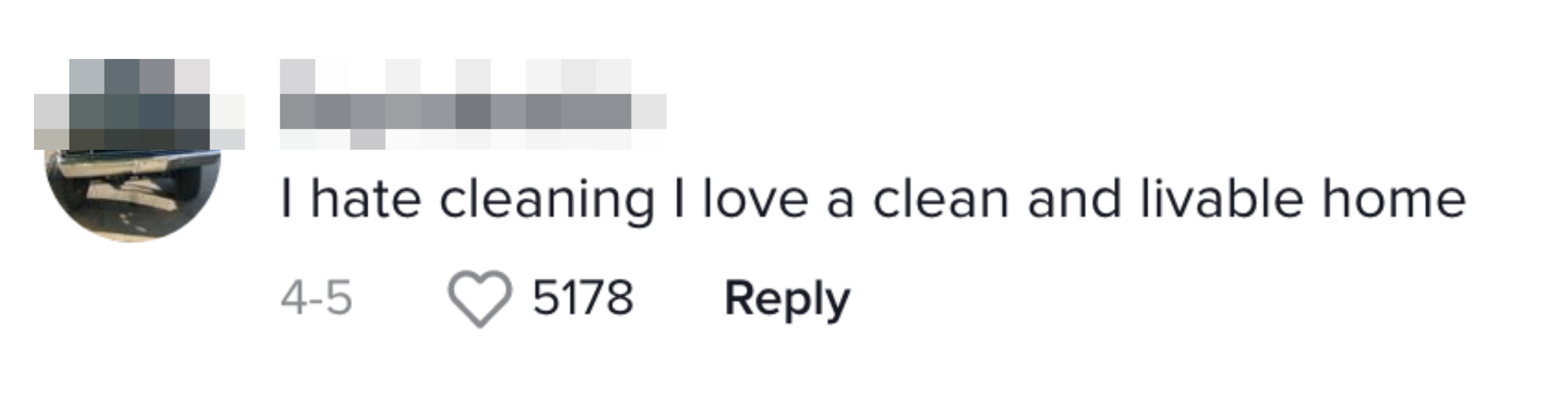 Screenshot of a TikTok comment