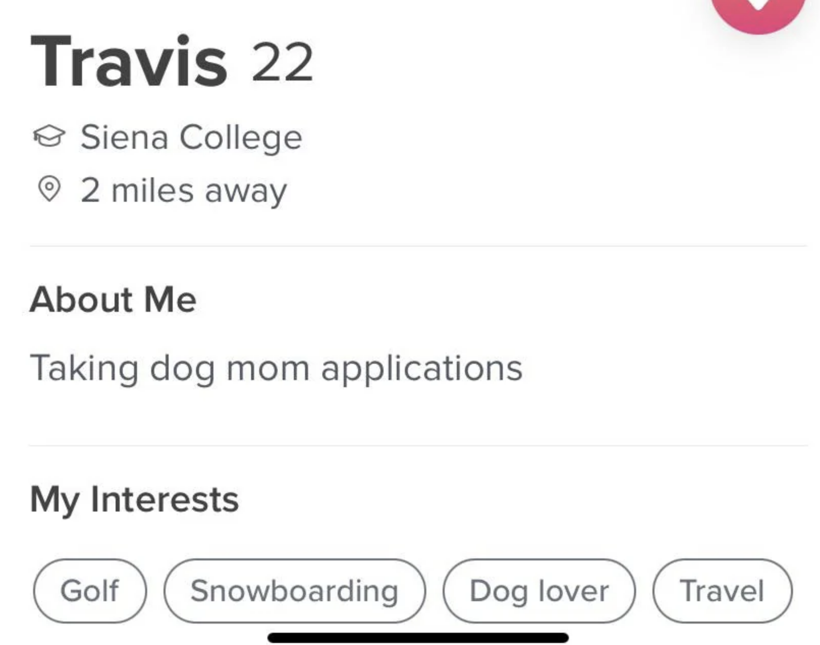 A man named Travis has an about me that simply says &quot;taking dog mom applications&quot;