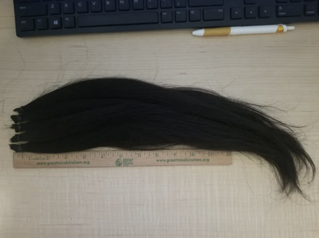 ruler shows the hair cut off is more than 12 inches