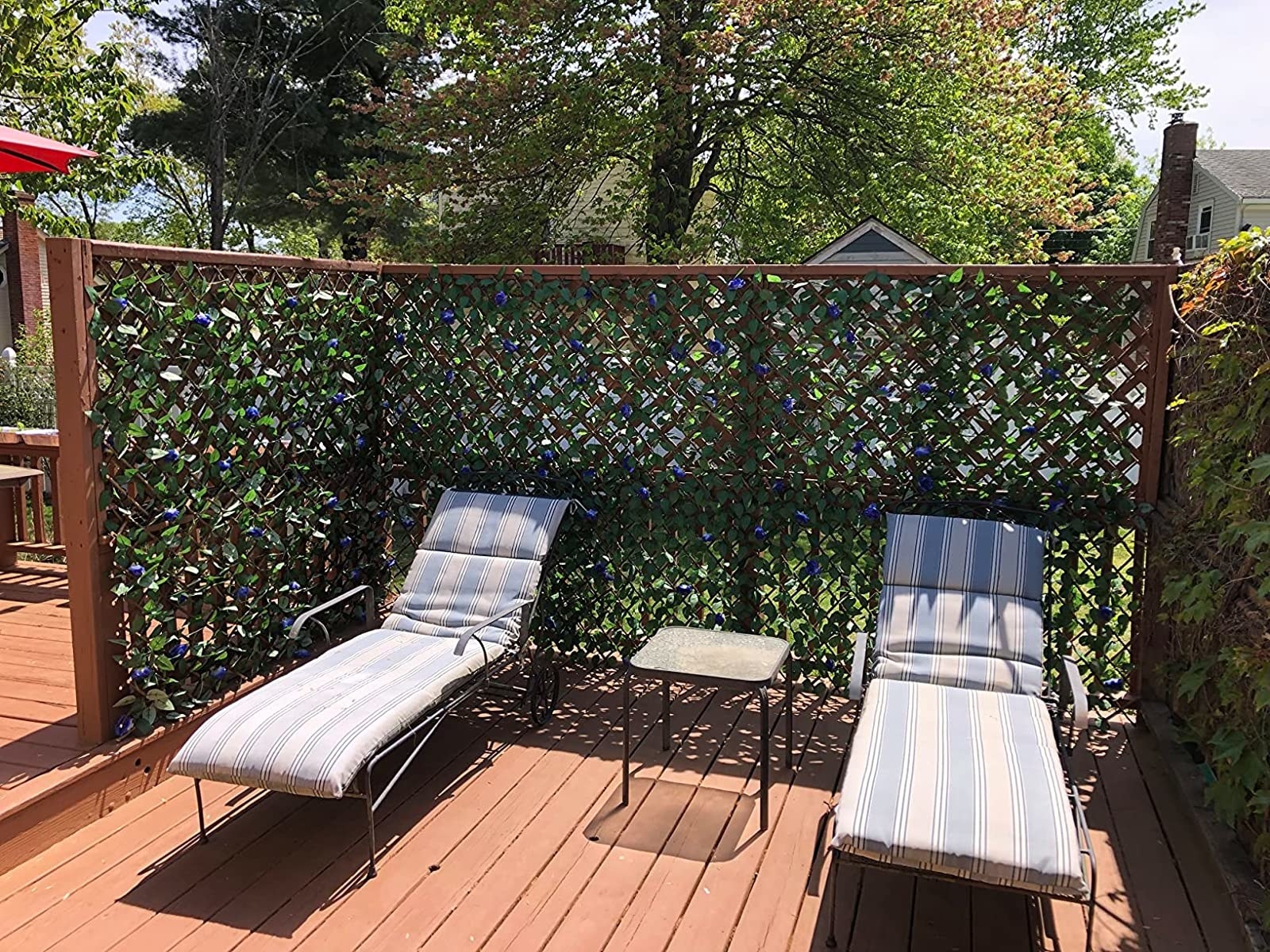 Reviewer photo of the ivy behind patio chairs