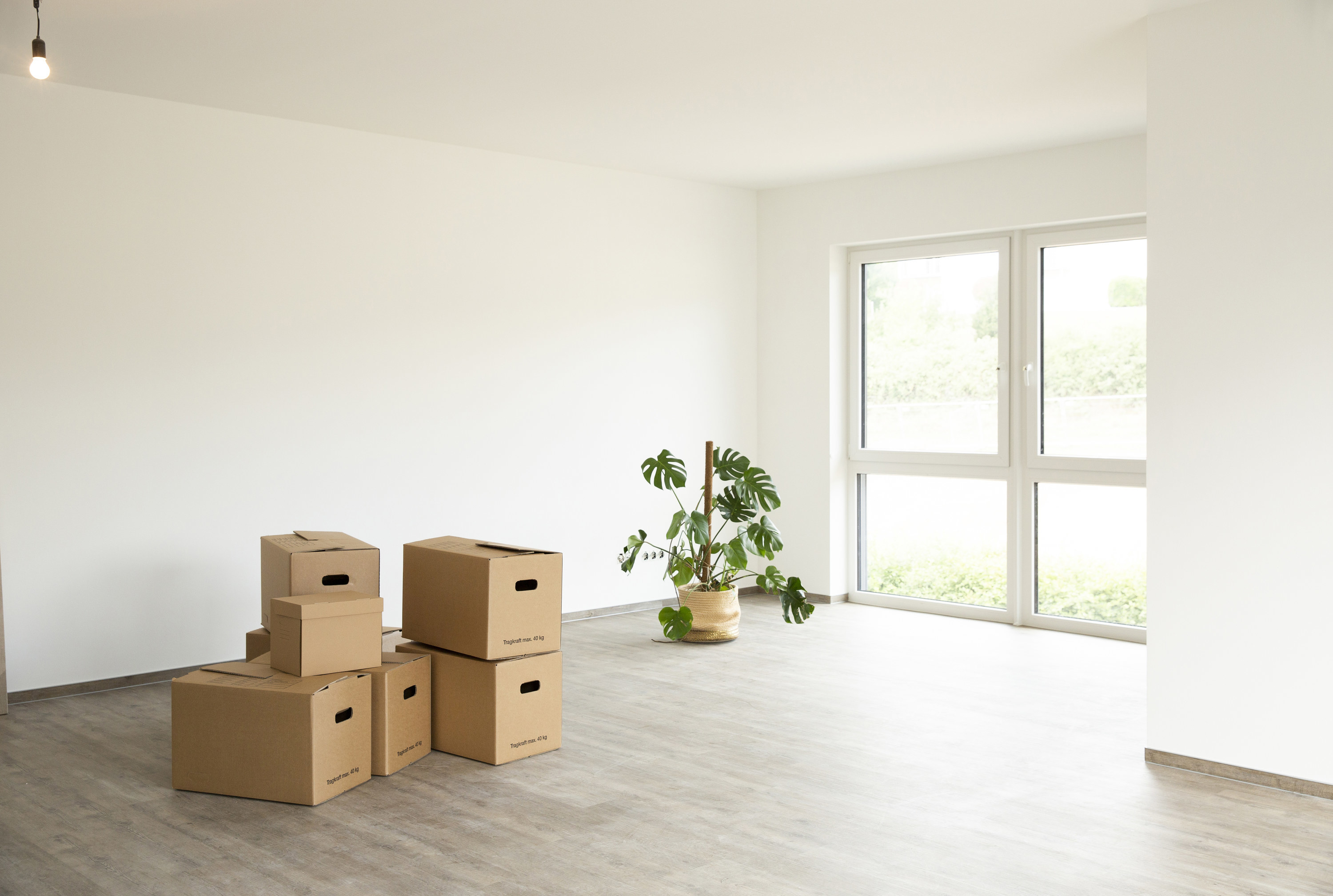 An empty apartment except for a few boxes and a plant