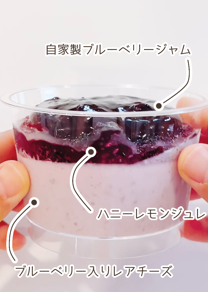 成城石井のおすすめスイーツ「カナダ産ごろごろブルーベリーのレアチーズ」