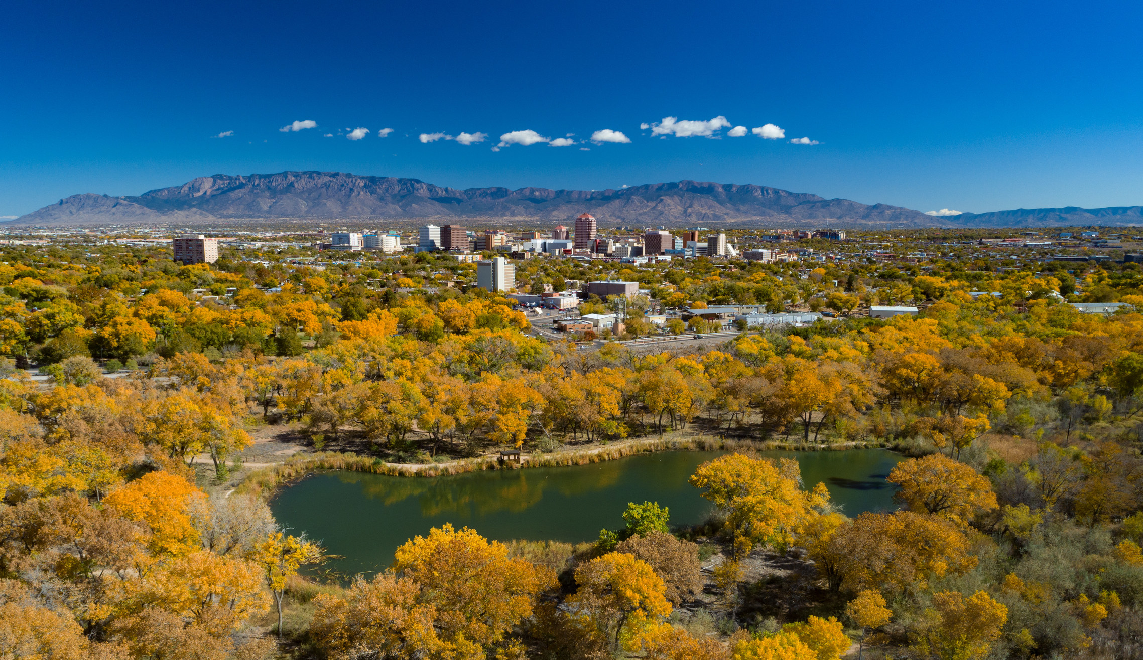 Albuquerque skyline during autumn.