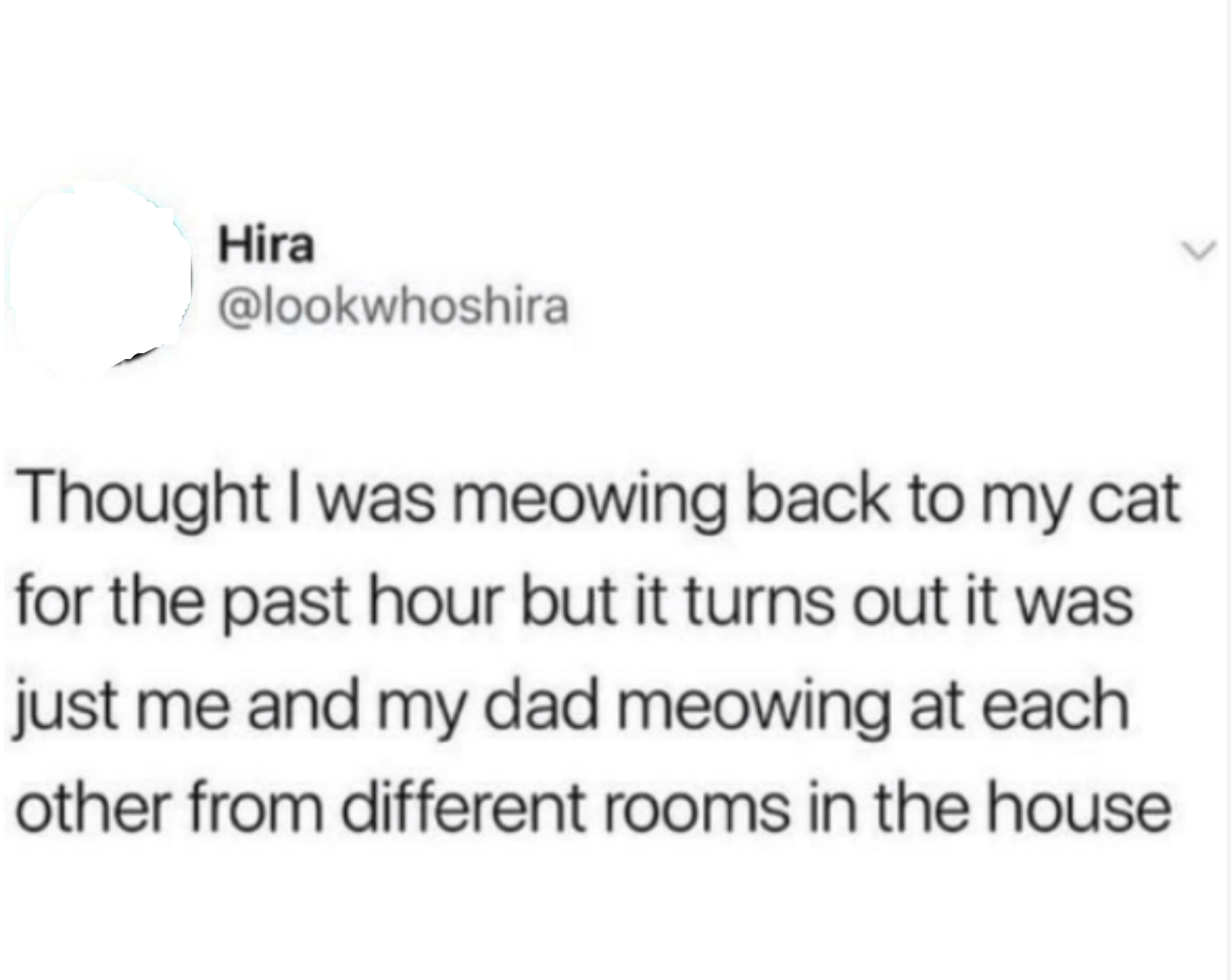 Screenshot of a tweet