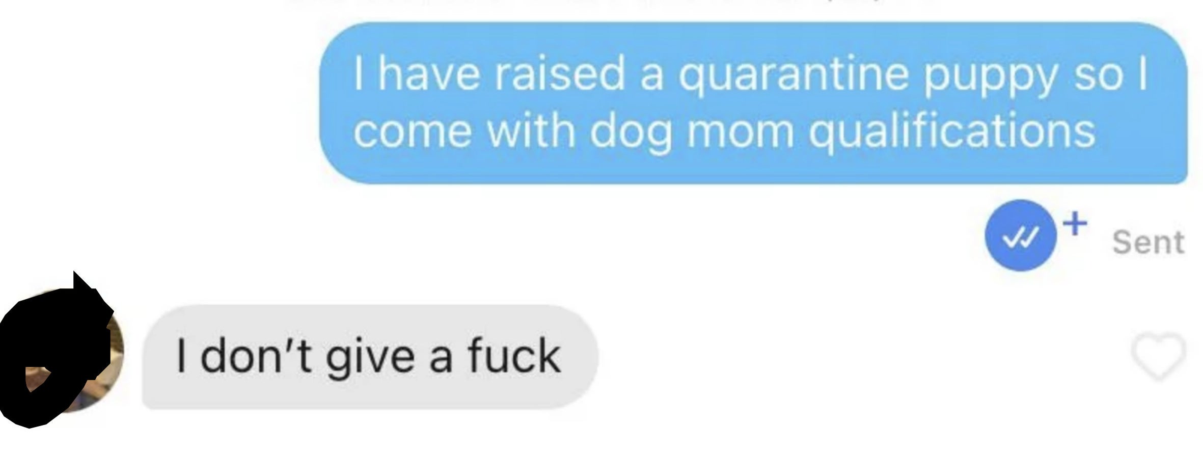 A woman opens conversation with Travis by saying "I raised a quarantine puppy so I come with dog mom qualifications," and he responds "I don't give a fuck"