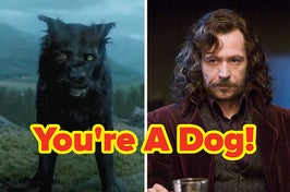 Sirius in dog form and in human form.