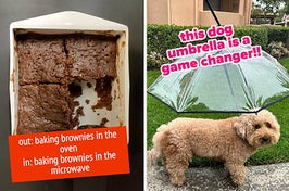 a microwave brownie maker and a dog umbrella