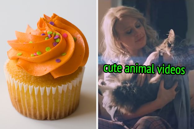 On the left, a vanilla cupcake with bright frosting and sprinkles, and on the right, Kate McKinnon holding a cat labeled cute animal videos