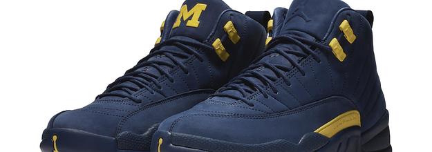 Jordan hotsell michigan 12s