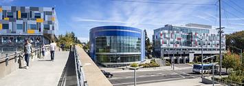 Adidas campus portland hotsell