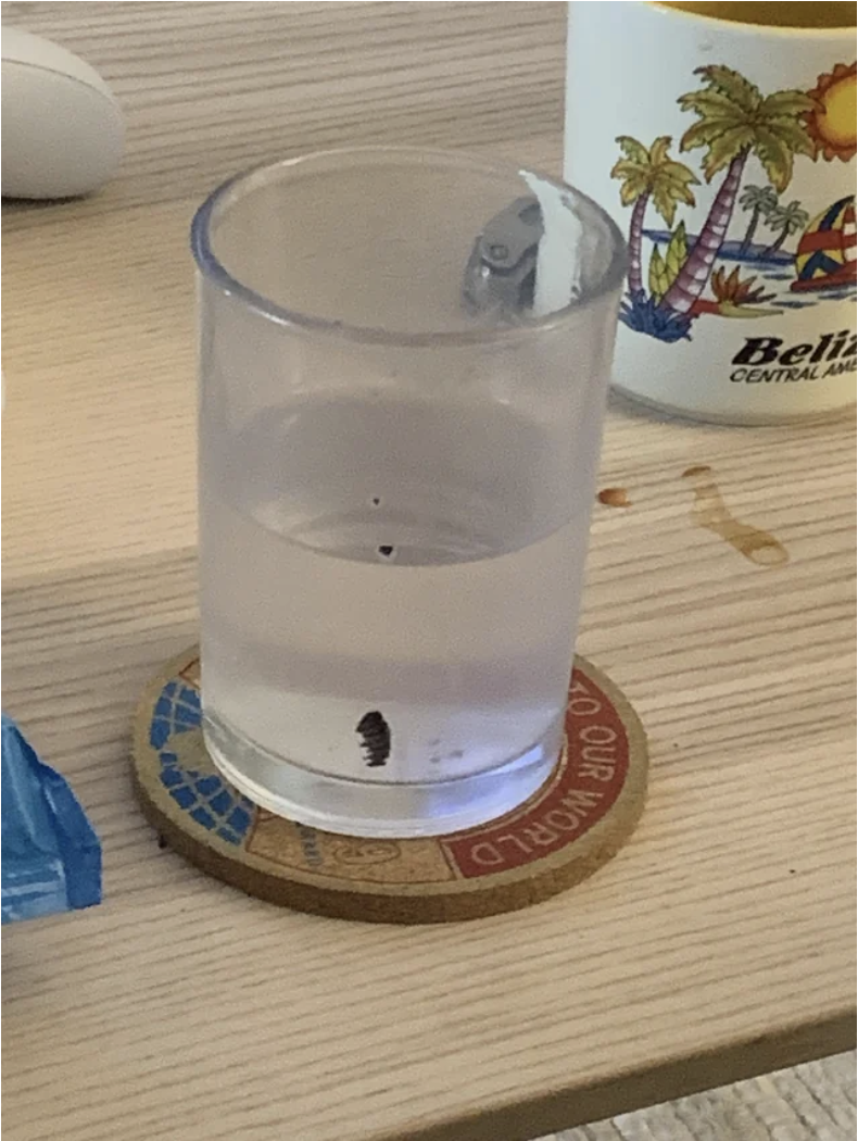 A cloudy glass of water with a piece of cookie floating in it