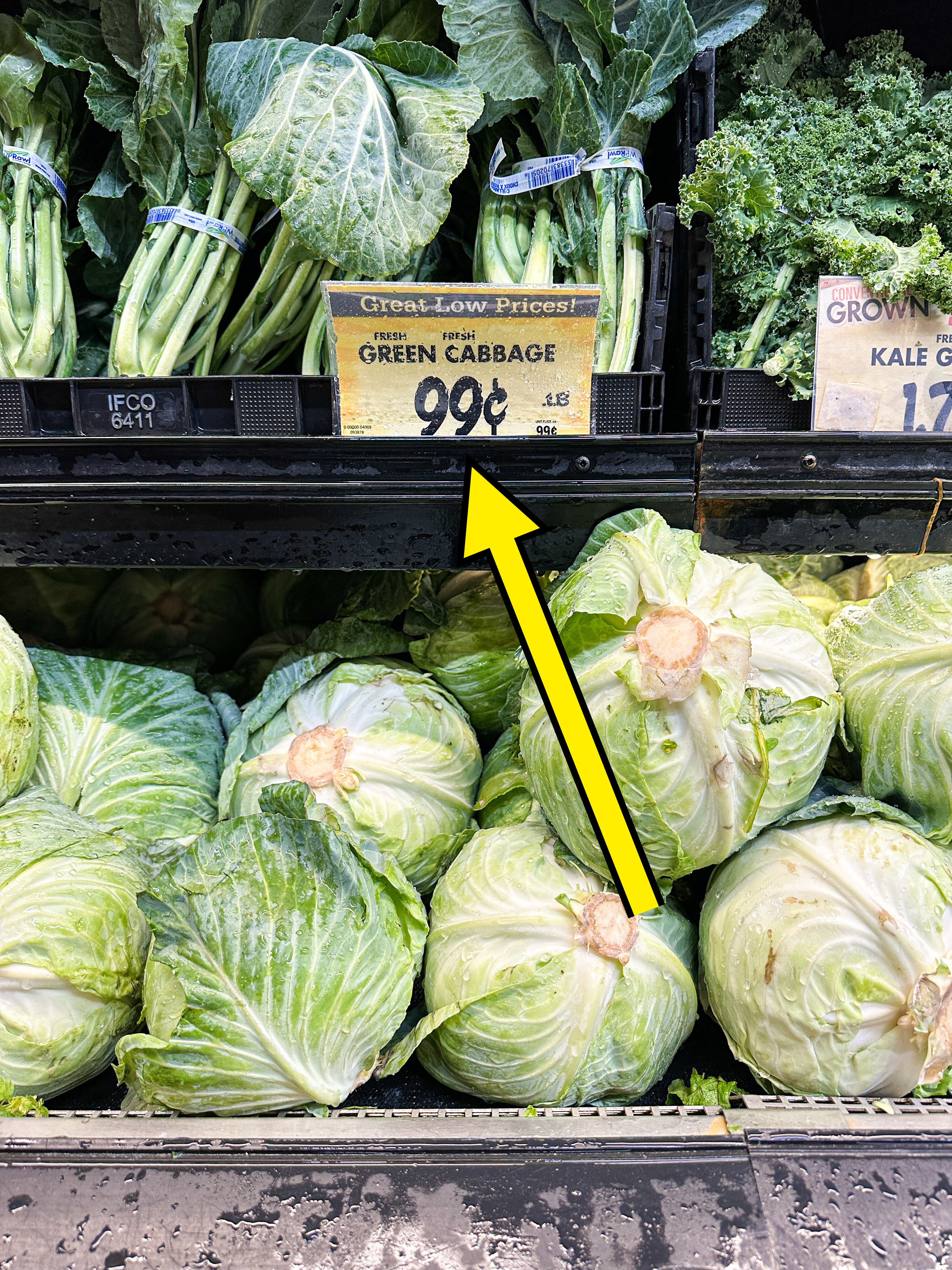 arrow pointing to green cabbage for 99 cents per pound