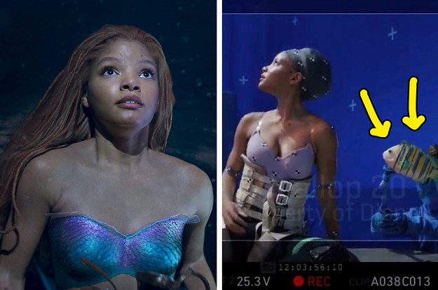 Halle Bailey Revealed How Actors Actually Film Scenes With CGI Animals And It's Blowing My Mind