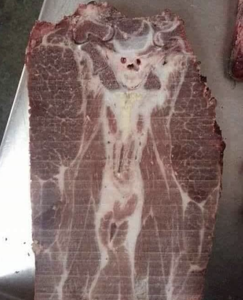 scary monster outline in the meat