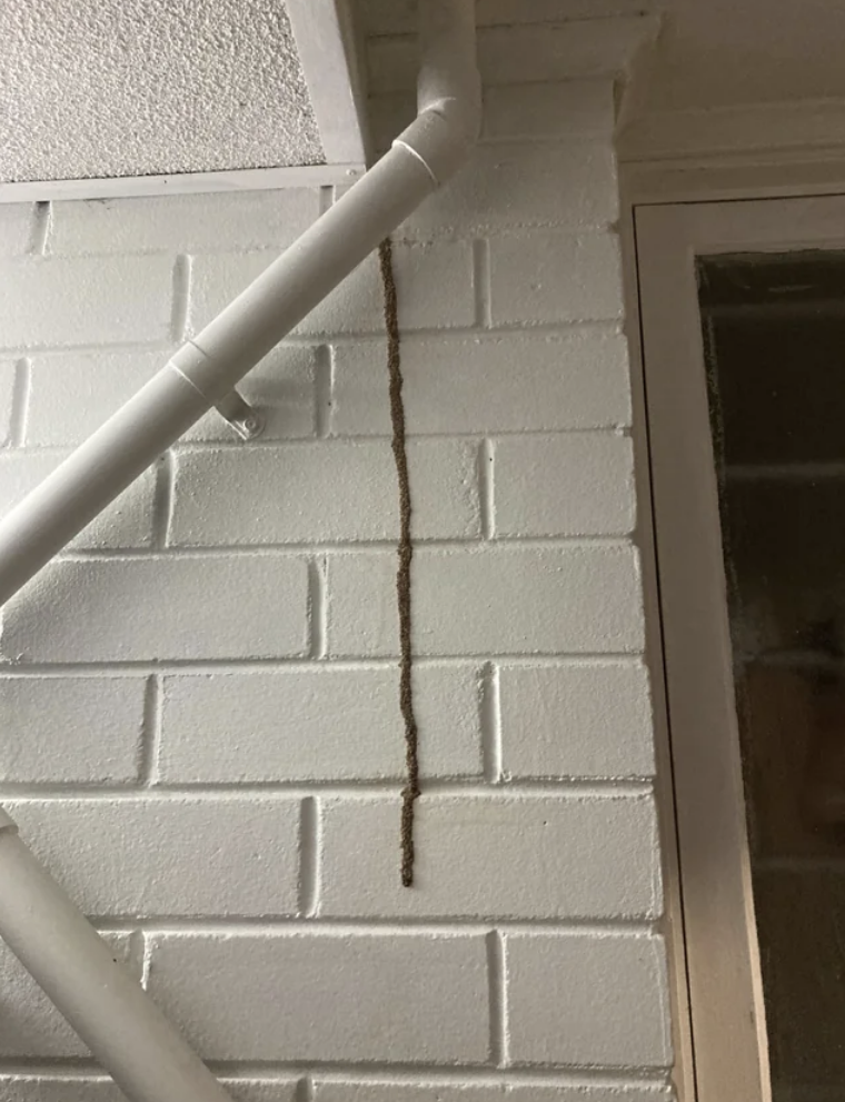 long line of something on the wall