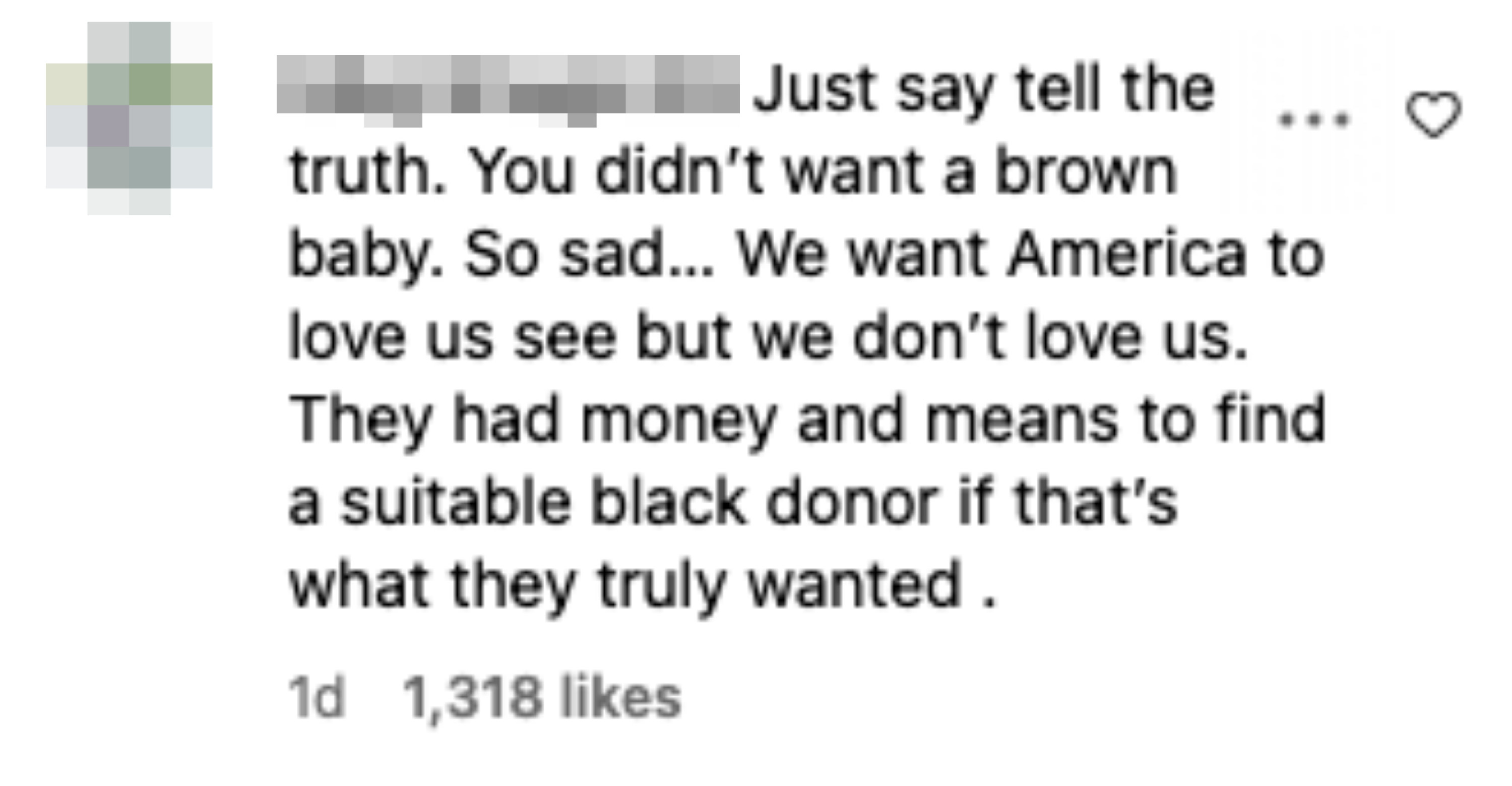 A comment saying &quot;the couple didn&#x27;t not wanting a brown baby. We want America to love us see but we don&#x27;t love us. They had money and means to find a suitable Black donor if that&#x27;s what they truly wanted&quot;
