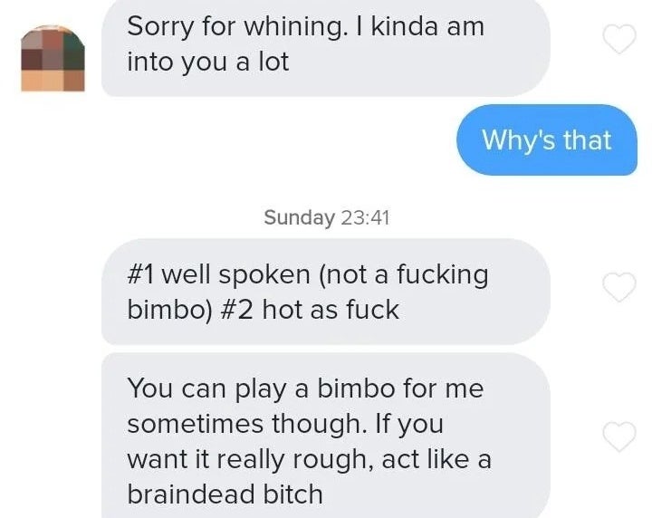 He's into her 'cause she's not a bimbo and she's hot, then says she can play a bimbo, and if she wants it really rough, she can "act like a braindead bitch"